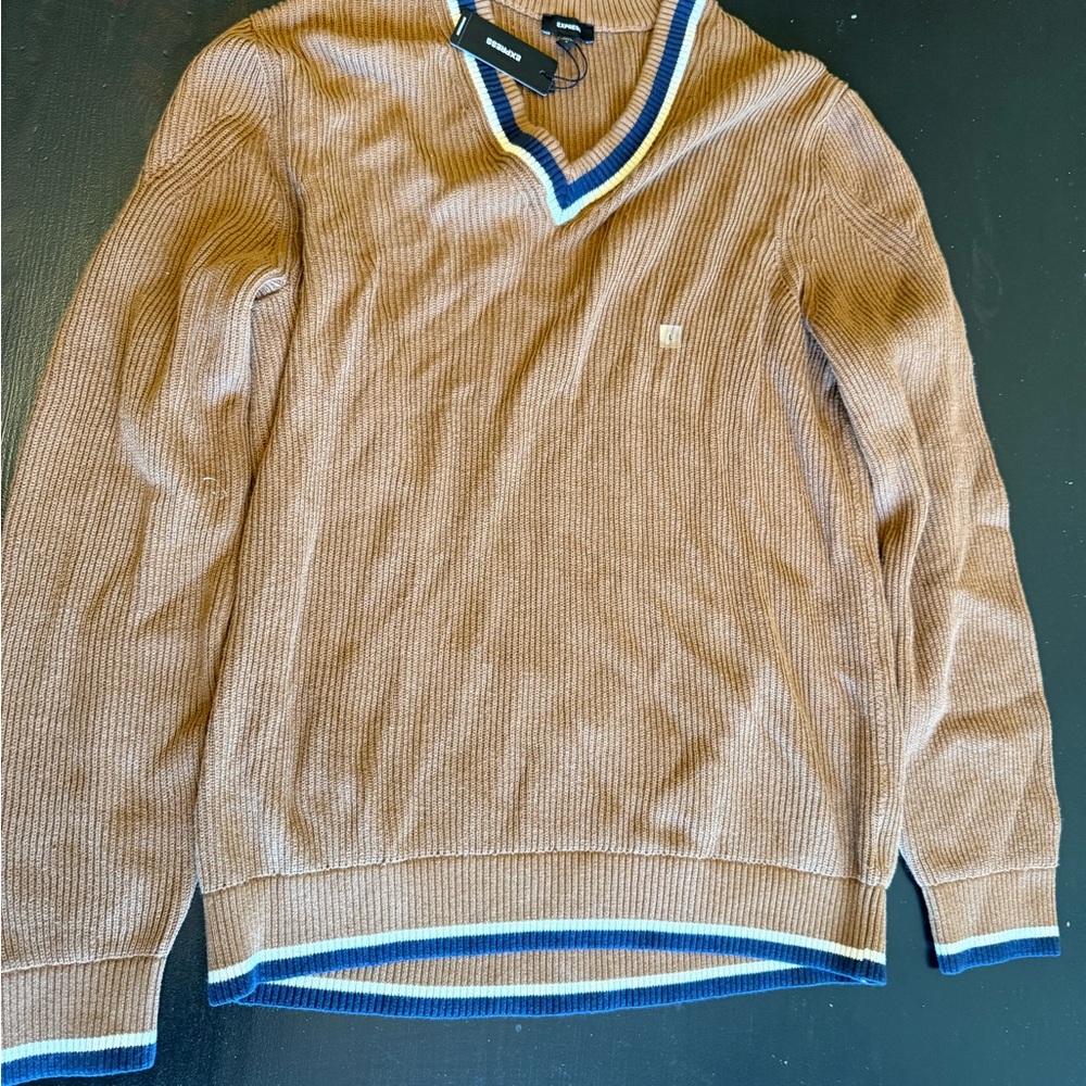 Express Brown and Blue V-Neck Sweater